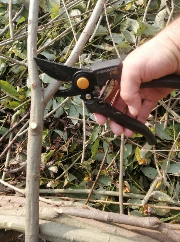 Обзор FISKARS P90. Профессиональный садовый секатор со спиральной пружиной